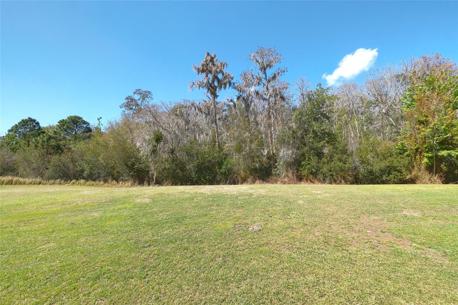 Image 18 of 53 For 3081 Agostino Terrace