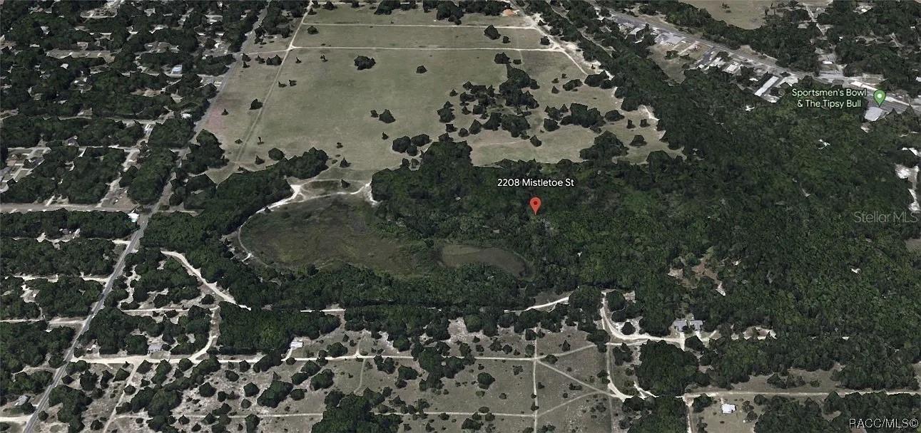 Listing photo id 0 for 2208 Mistletoe Street