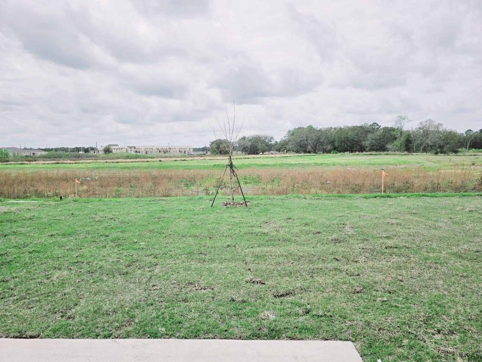 Image 20 of 24 For 1454 Austin Street