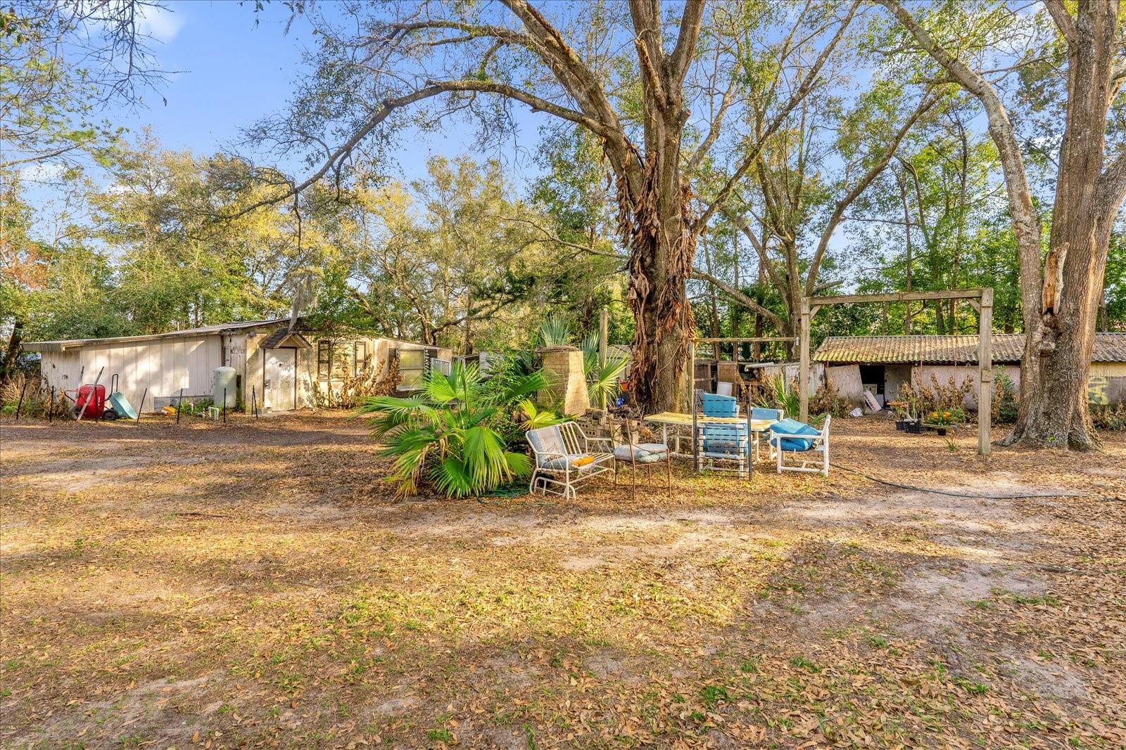 Image 19 of 25 For 30432 County Road 437 Road