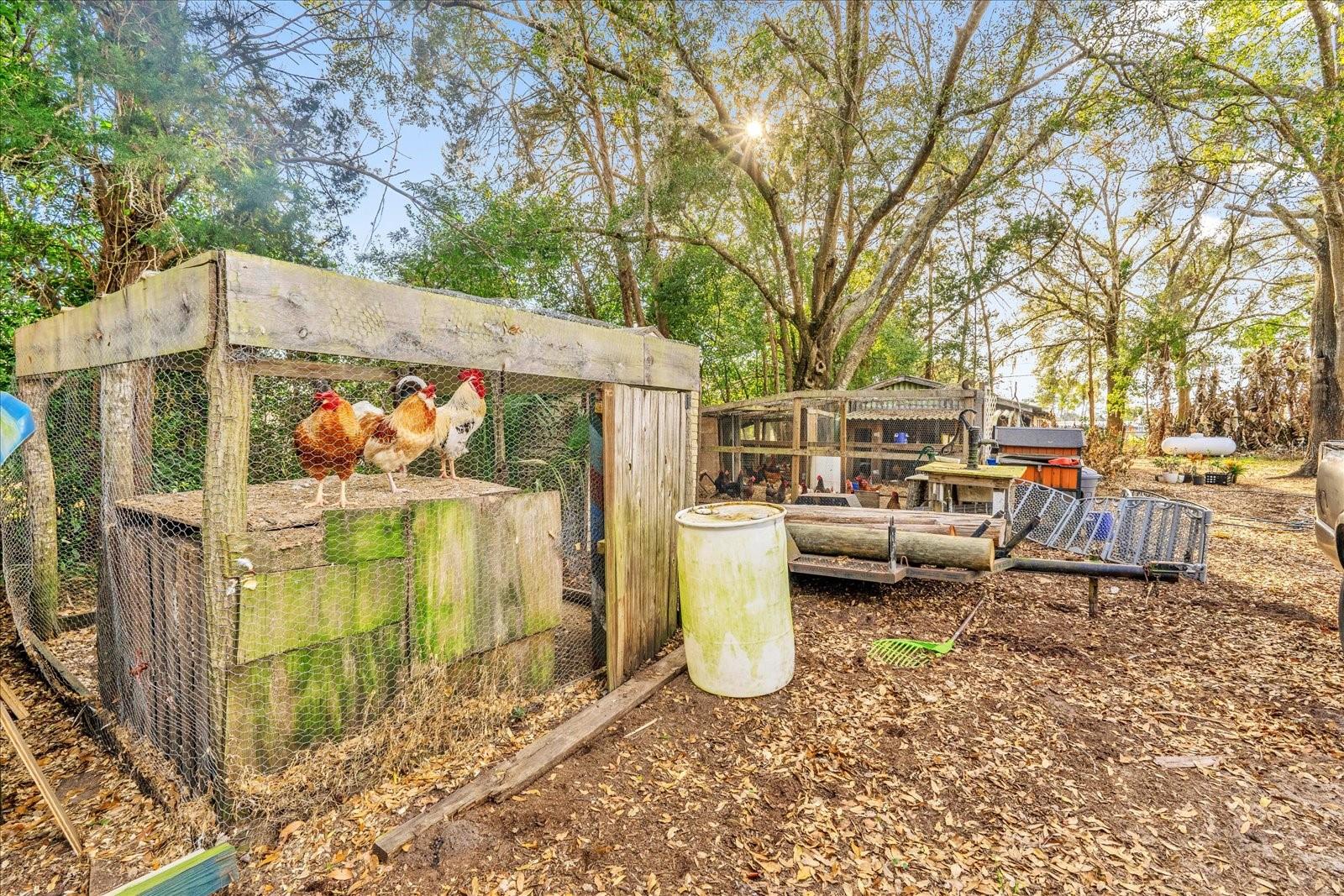 Image 20 of 25 For 30432 County Road 437 Road