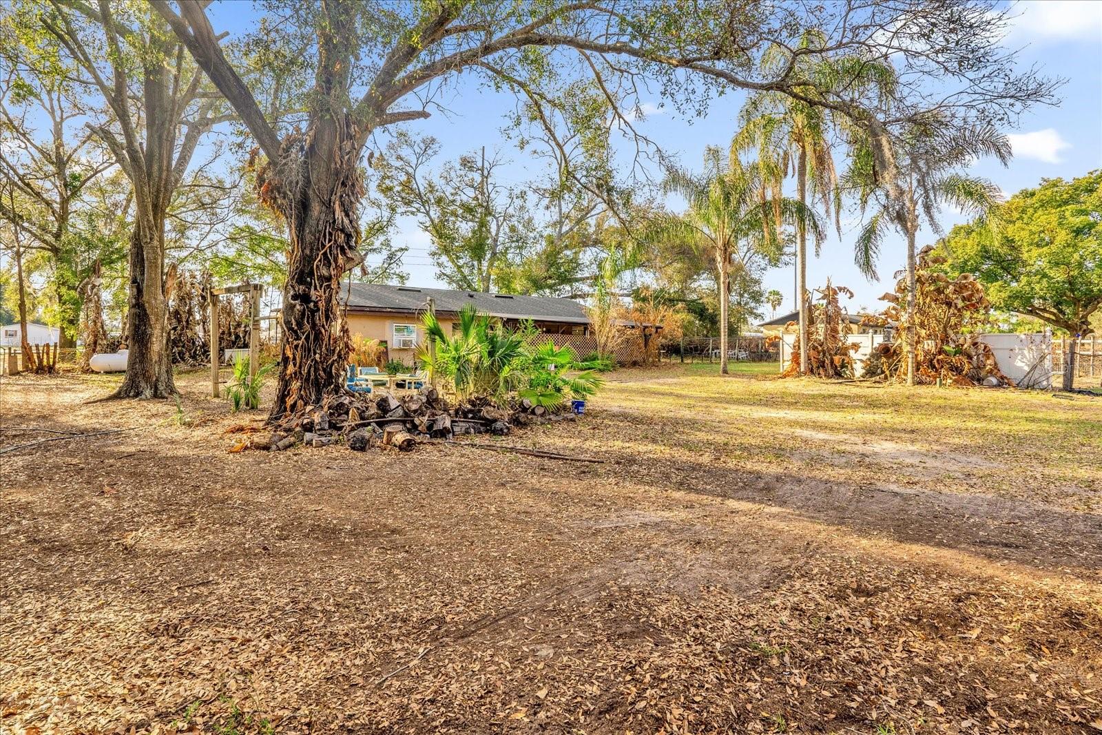 Image 21 of 25 For 30432 County Road 437 Road