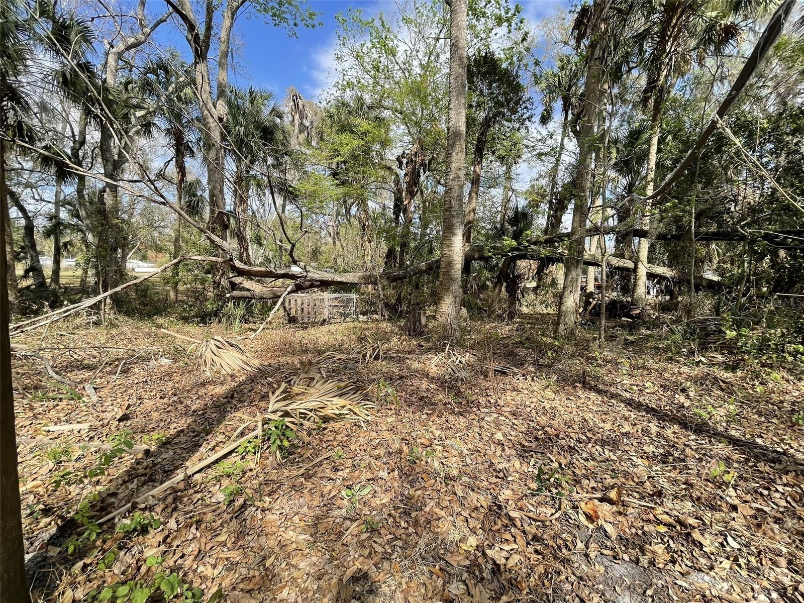 Image 10 of 32 For 6641 Twilight Court