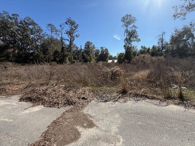 Details for Ne Seventeenth Avenue, TRENTON, FL 32693