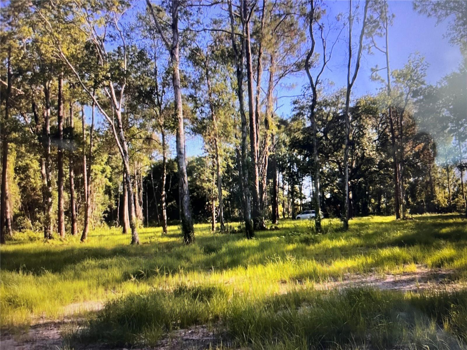 Listing Details for 2711 State Road 33, CLERMONT, FL 34714
