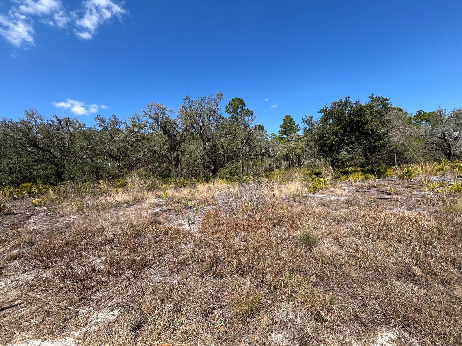 Details for 1006 Palm Avenue, INDIAN LAKE ESTATES, FL 33855