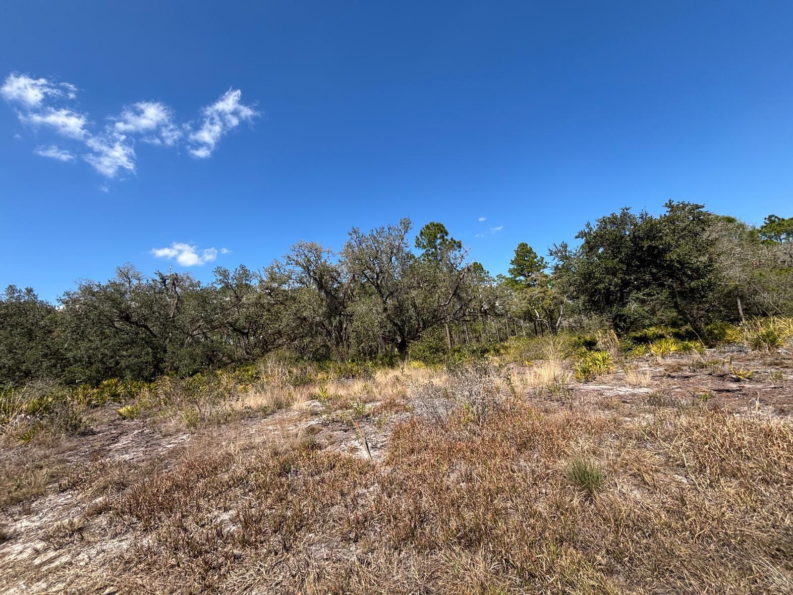 Image 2 of 6 For 1006 Palm Avenue