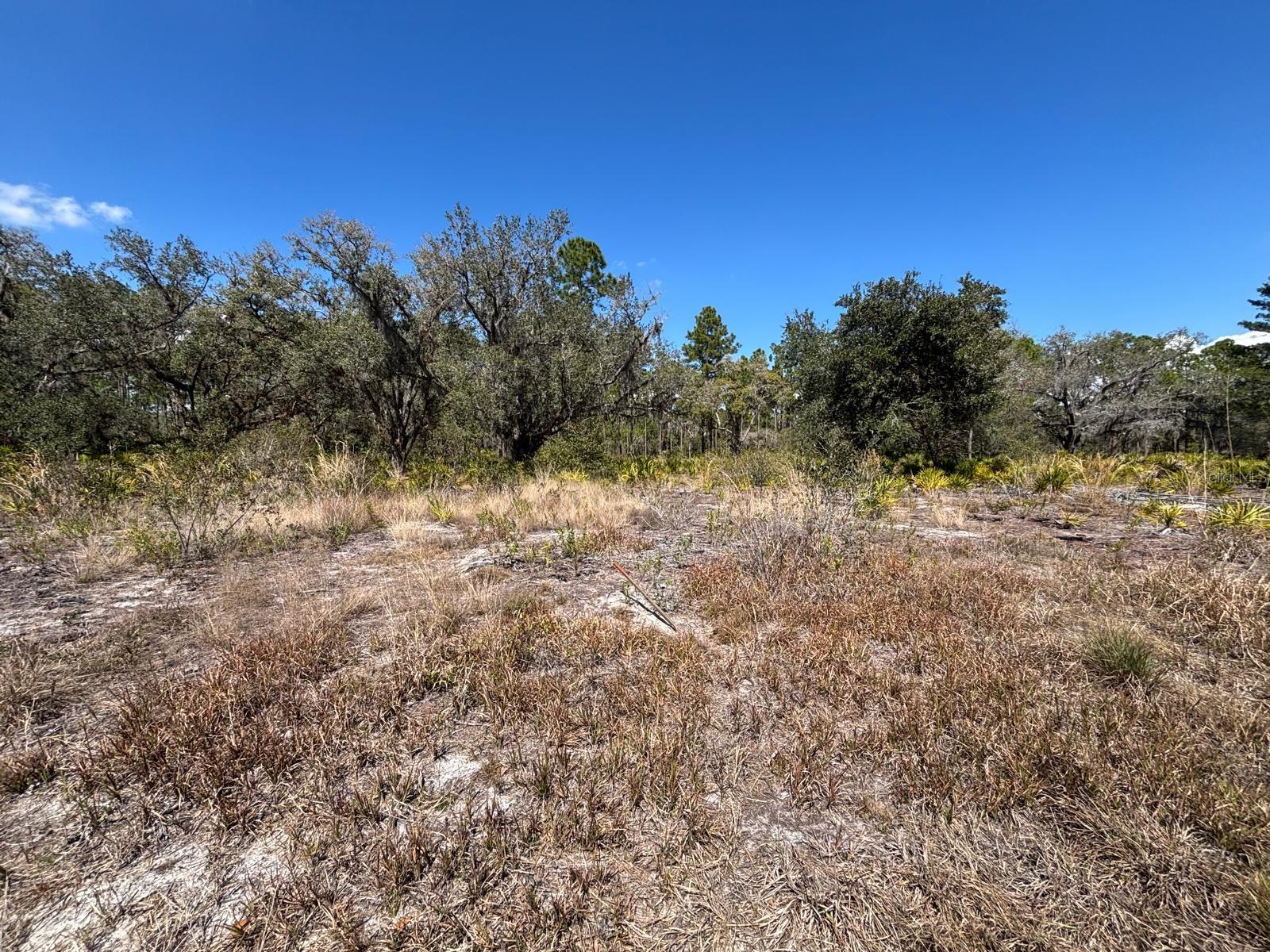 Image 4 of 6 For 1006 Palm Avenue