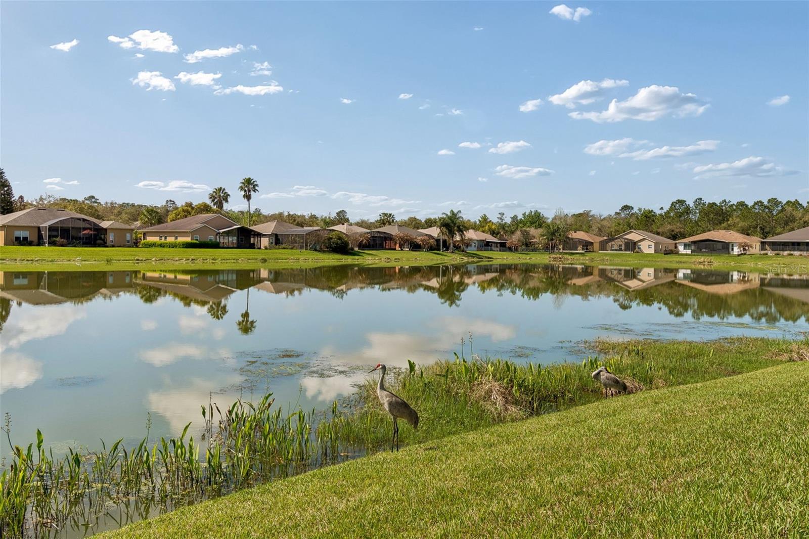 Image 44 of 63 For 813 Glendora Road