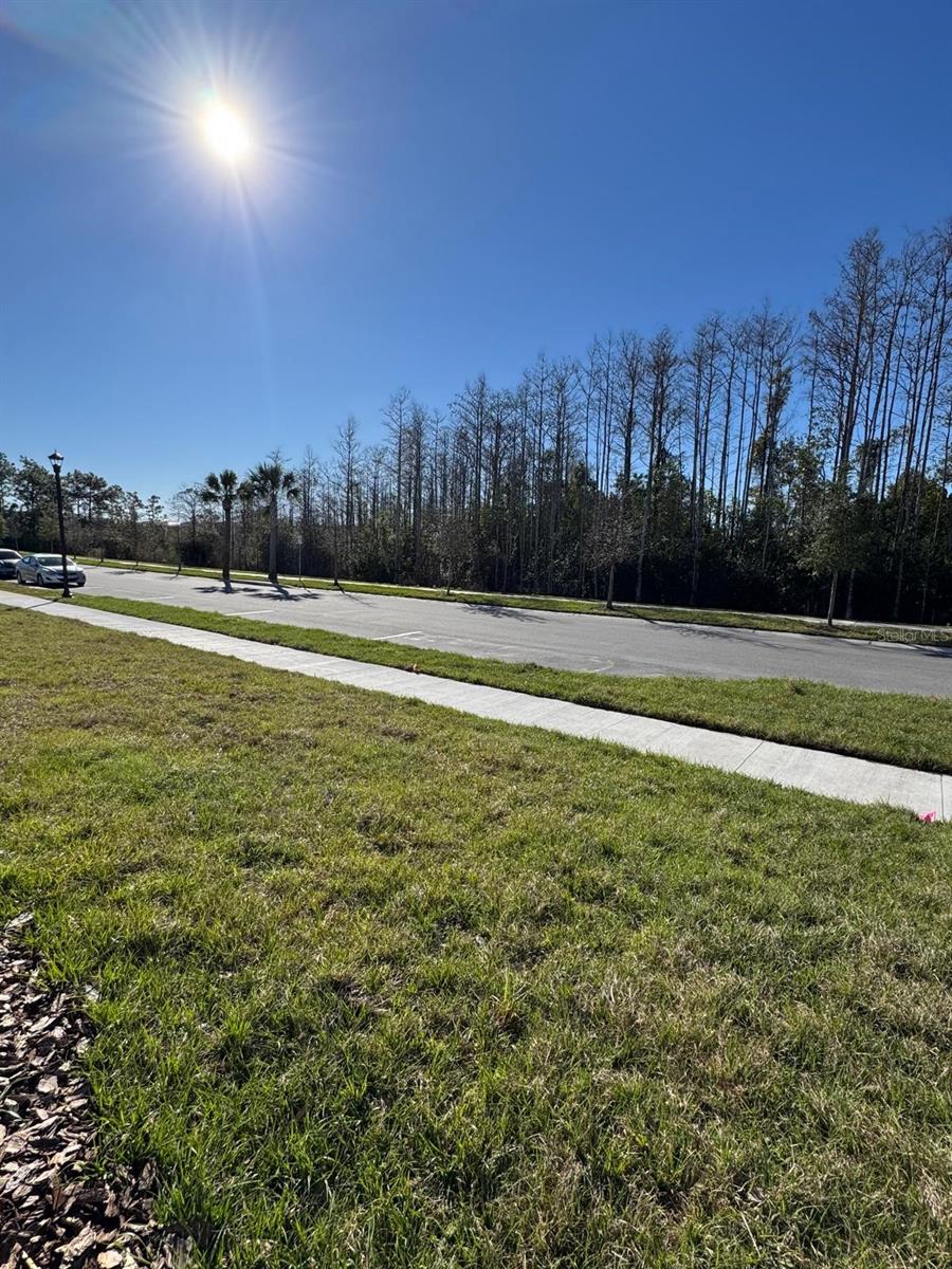 Image 24 of 24 For 4552 Burrowing Owl Loop