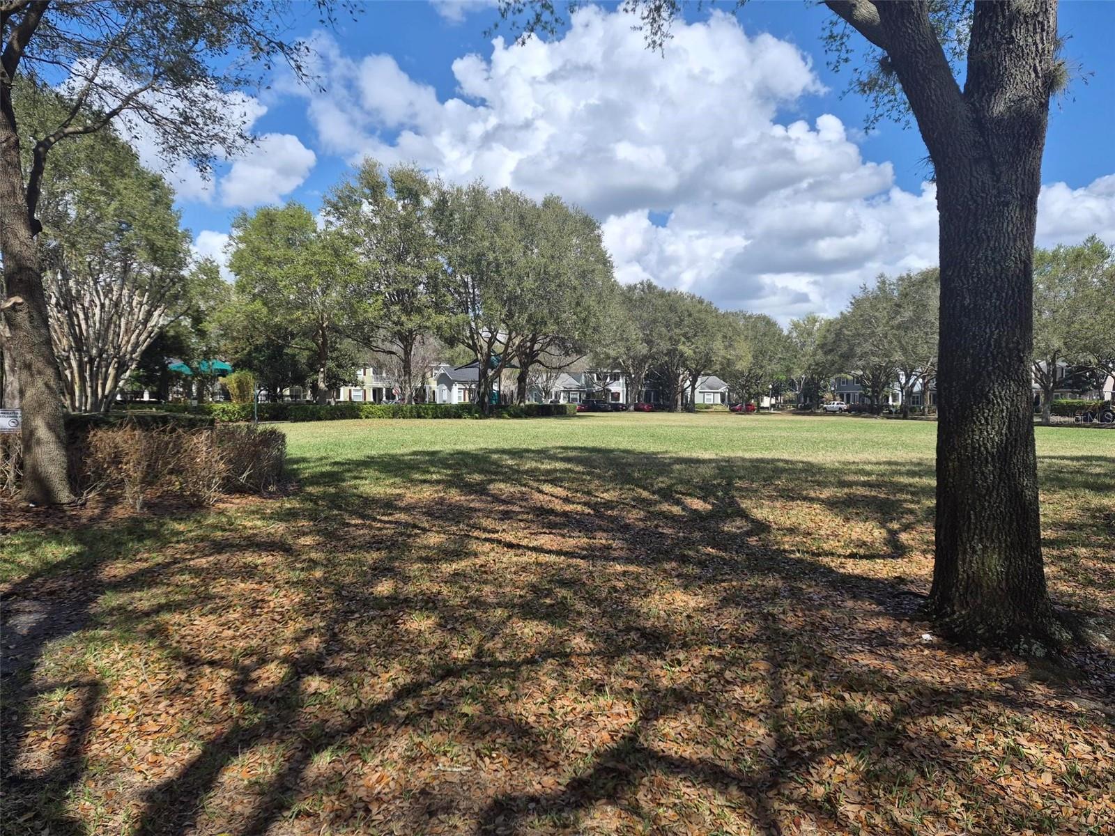 Image 53 of 54 For 6573 Helmsley Circle