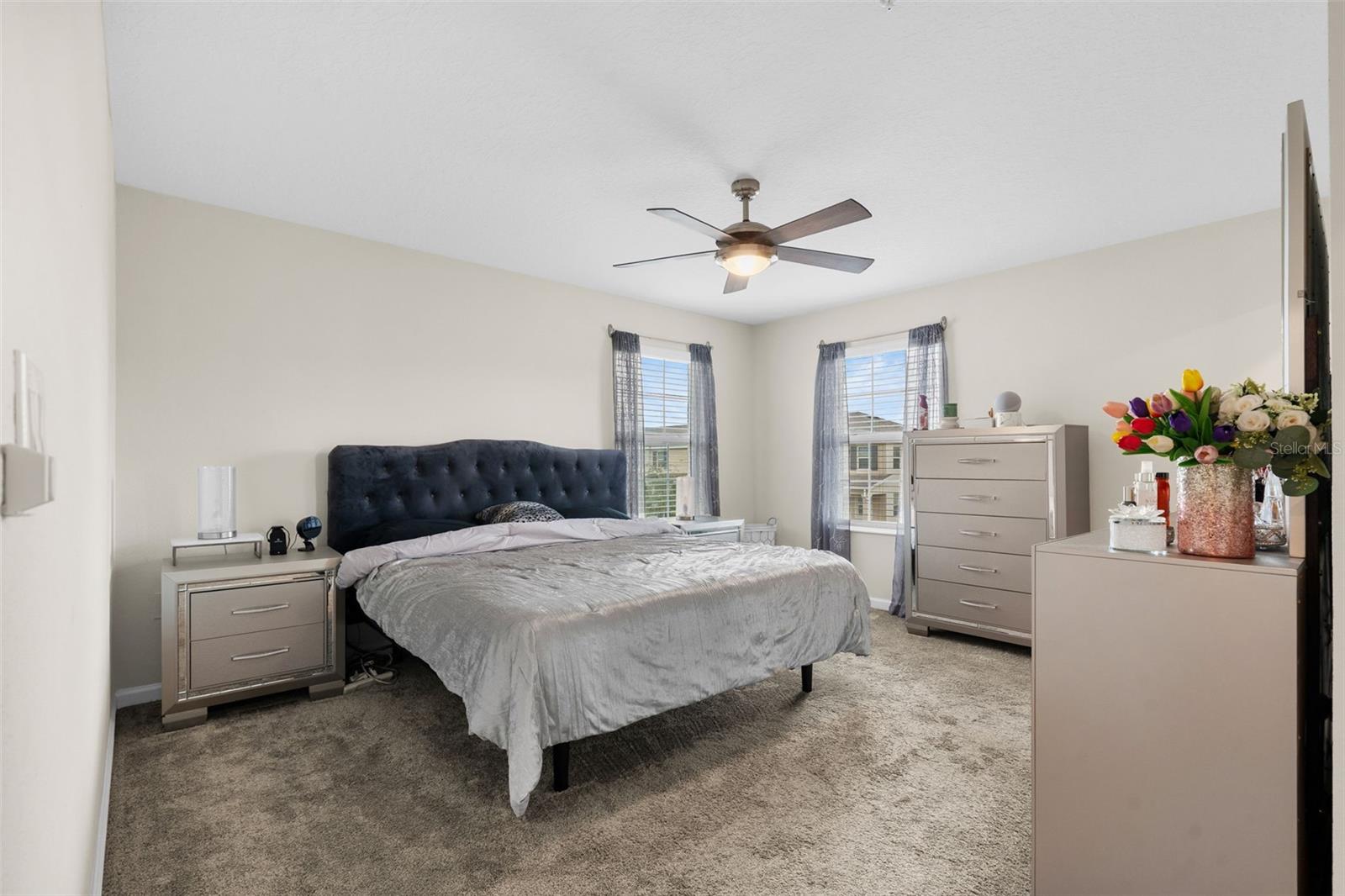 Image 22 of 37 For 3105 Aqua Virgo Loop