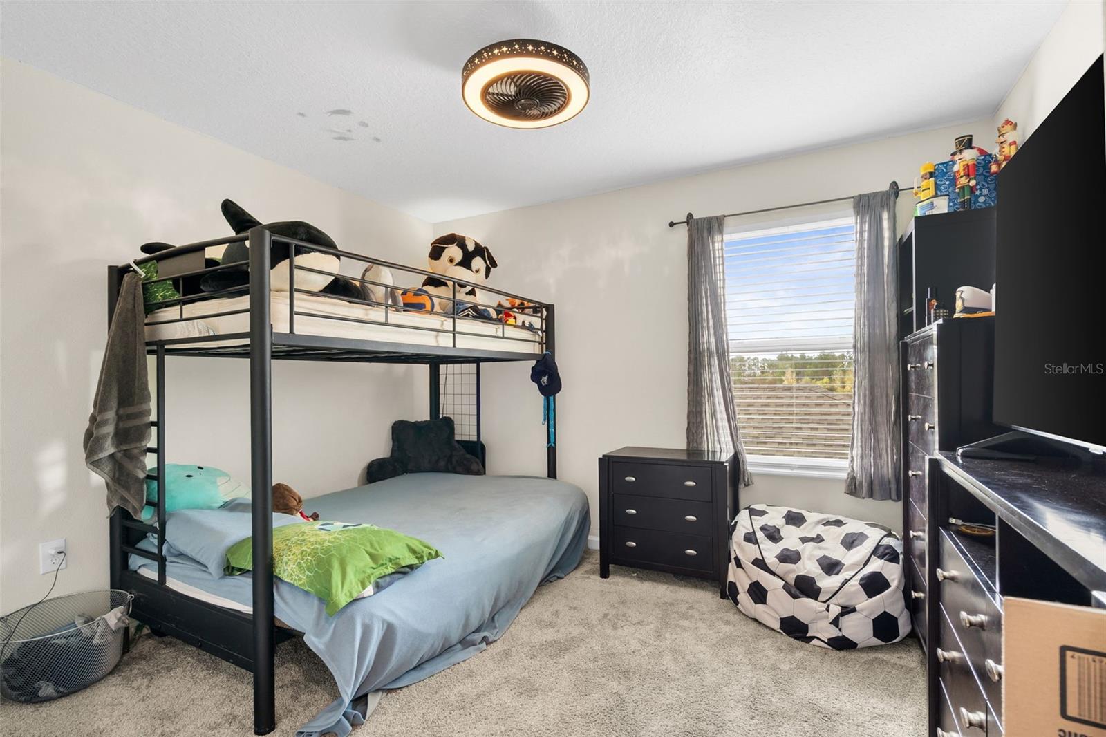 Image 27 of 37 For 3105 Aqua Virgo Loop