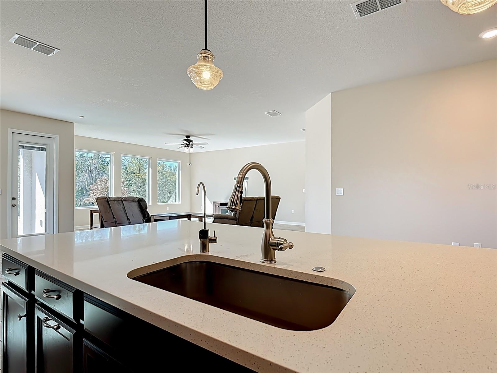 Image 4 of 41 For 17804 Passionflower Circle