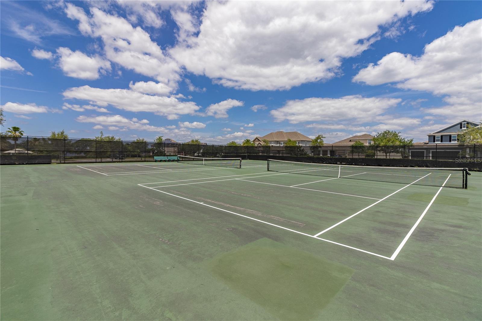 Image 46 of 53 For 15583 Hamlin Blossom Avenue