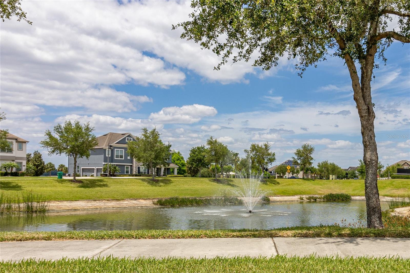 Image 49 of 53 For 15583 Hamlin Blossom Avenue