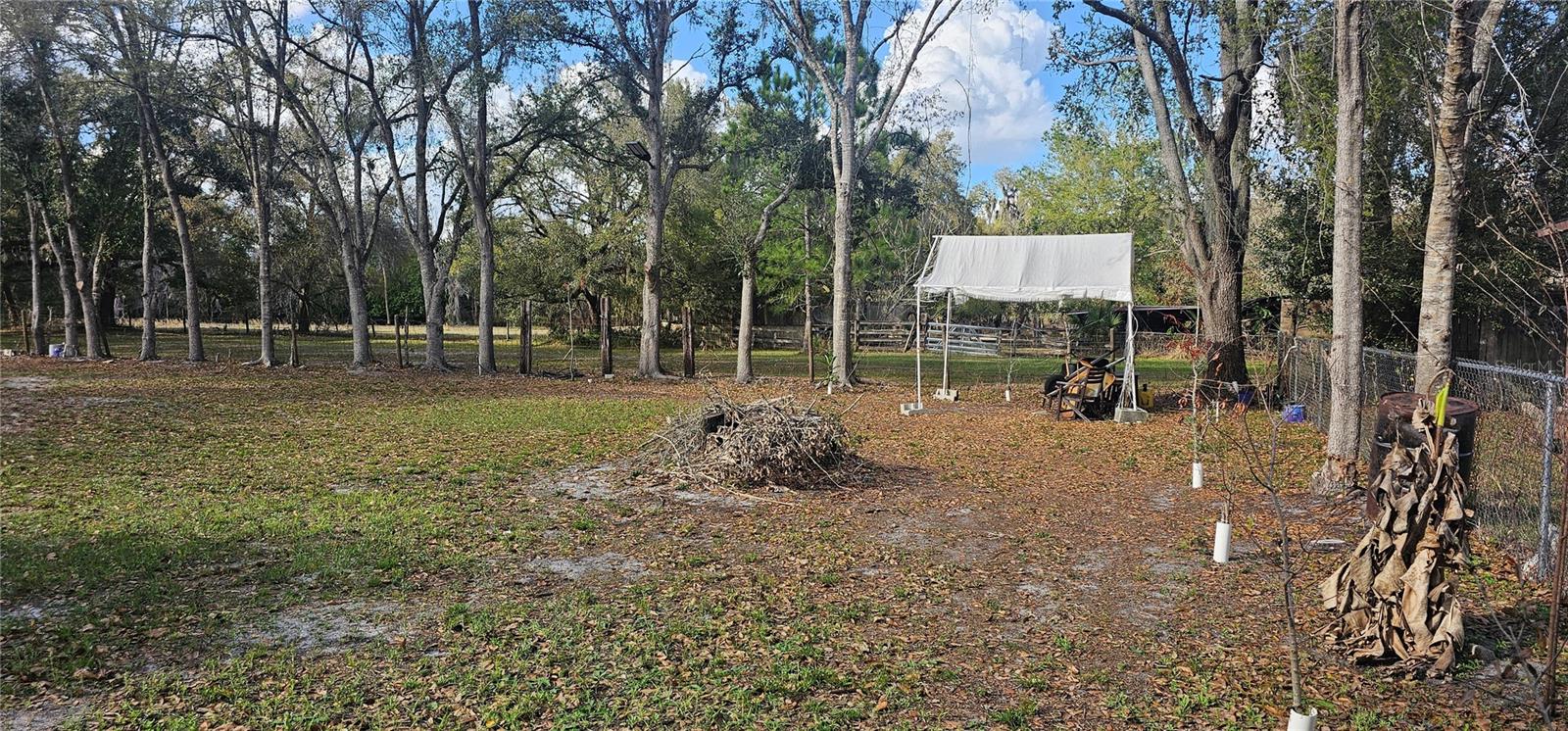 Image 12 of 17 For Immokalee Street