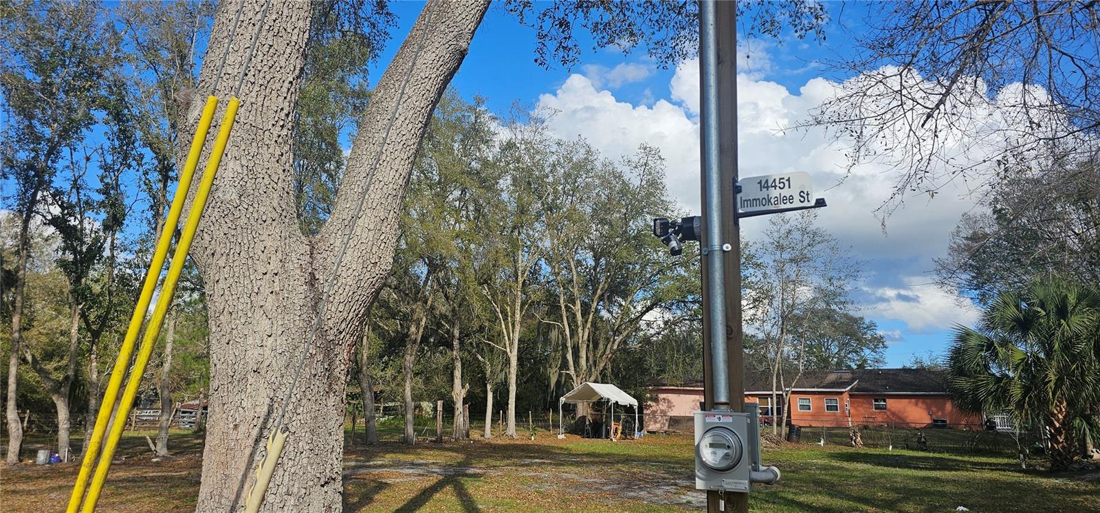 Image 14 of 17 For Immokalee Street