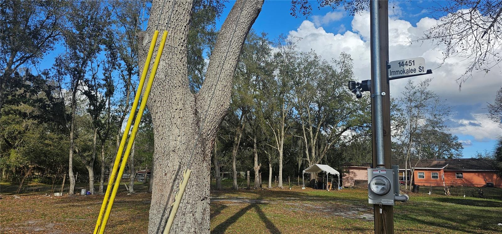 Image 17 of 17 For Immokalee Street