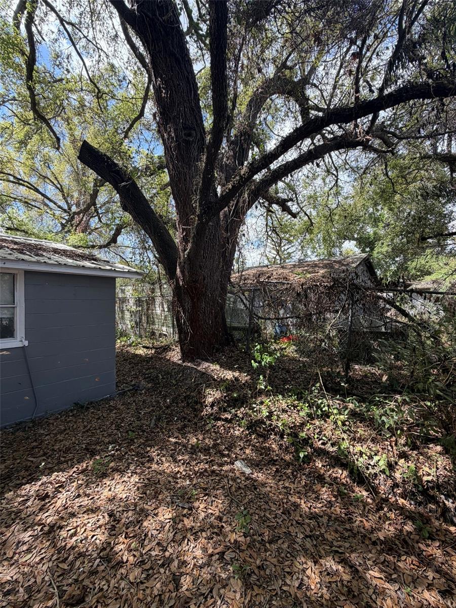 Image 27 of 33 For 719 Martin Street