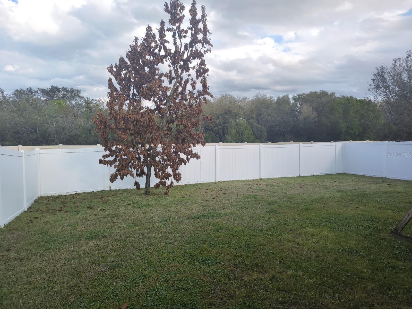 Image 15 of 16 For 3031 Sanderling Street