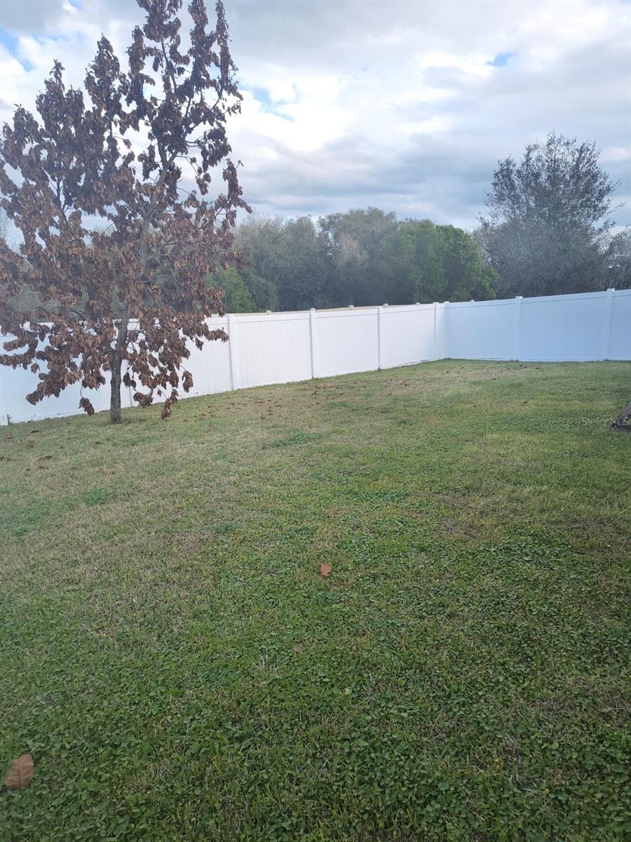 Image 16 of 16 For 3031 Sanderling Street