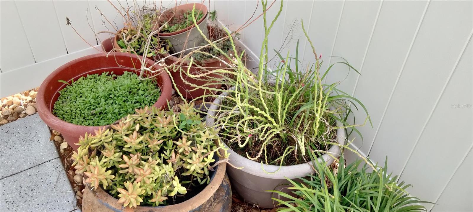 Image 21 of 31 For 1812 Atrium Drive