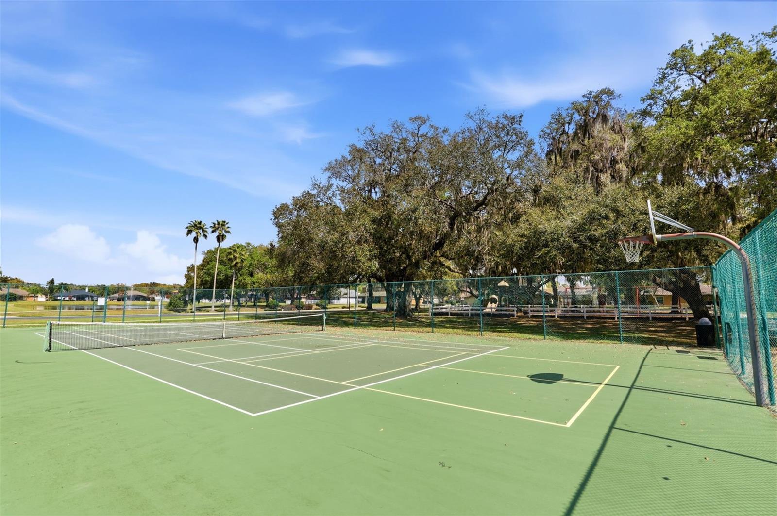 Image 53 of 54 For 1914 Big Cypress Drive