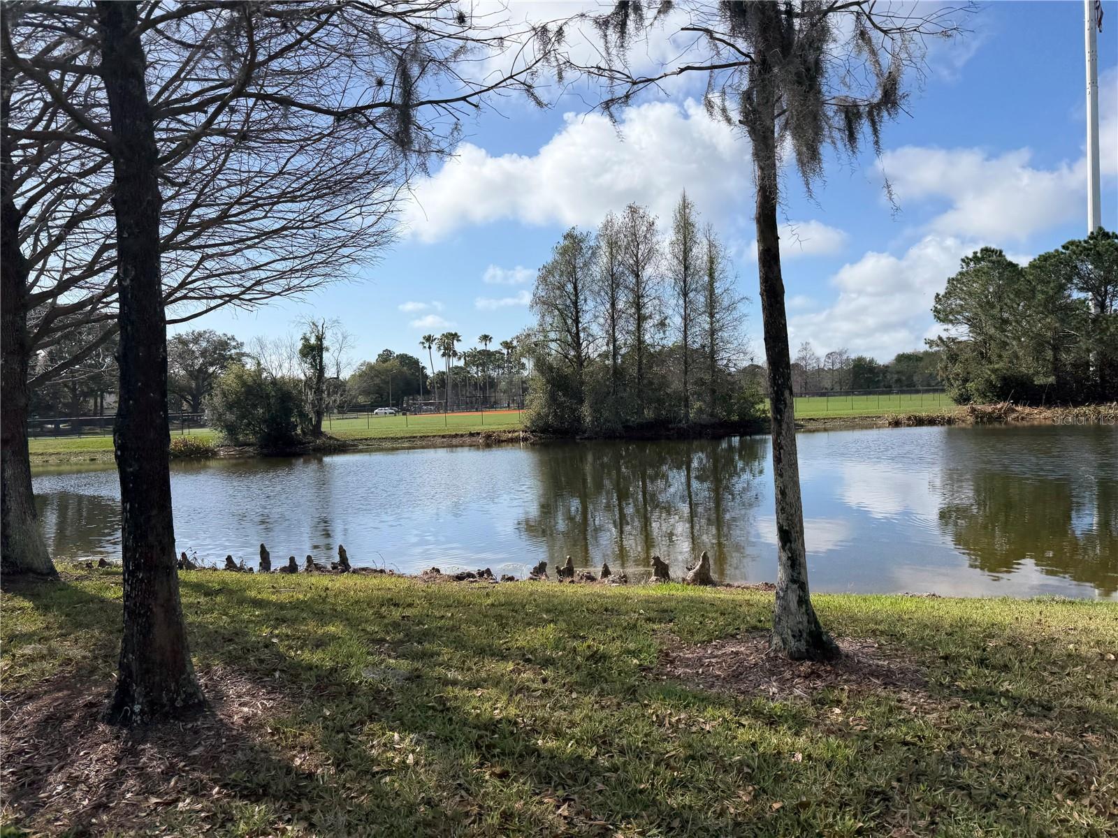 Image 59 of 100 For 14535 Caplock Drive