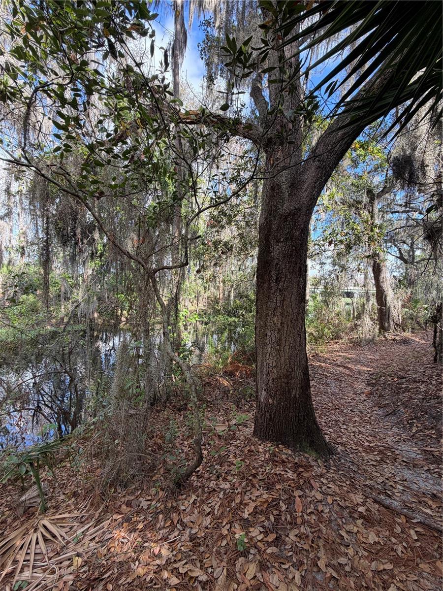 Image 67 of 100 For 14535 Caplock Drive