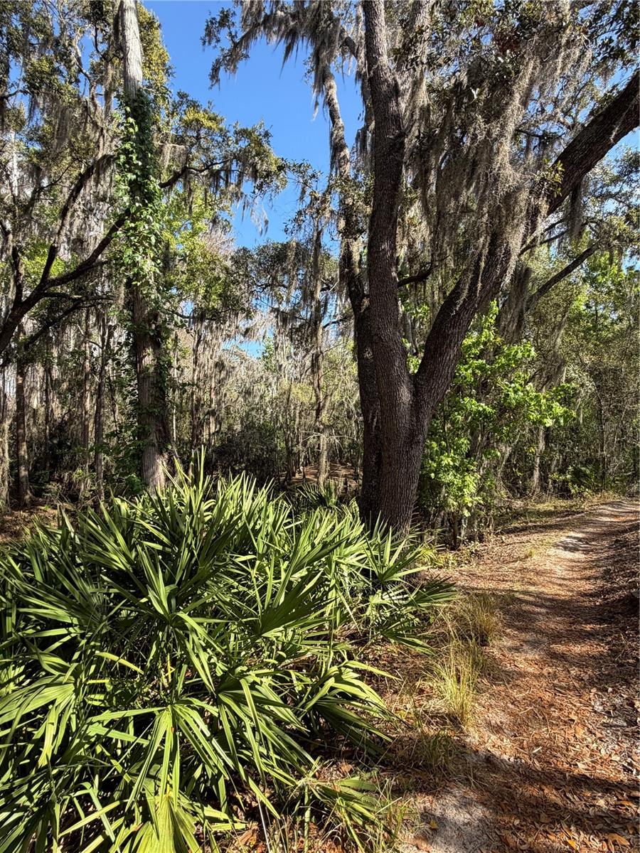 Image 68 of 100 For 14535 Caplock Drive