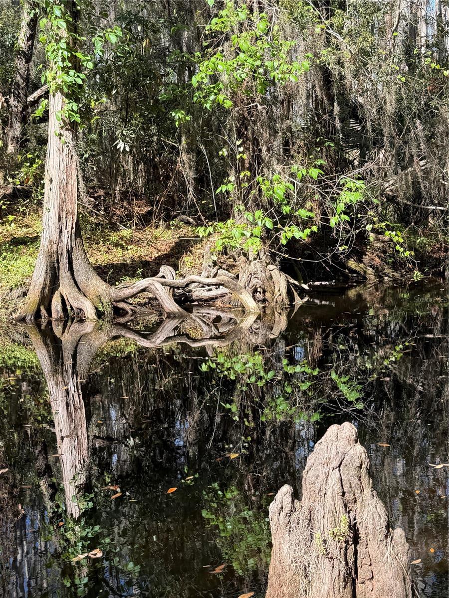 Image 73 of 100 For 14535 Caplock Drive