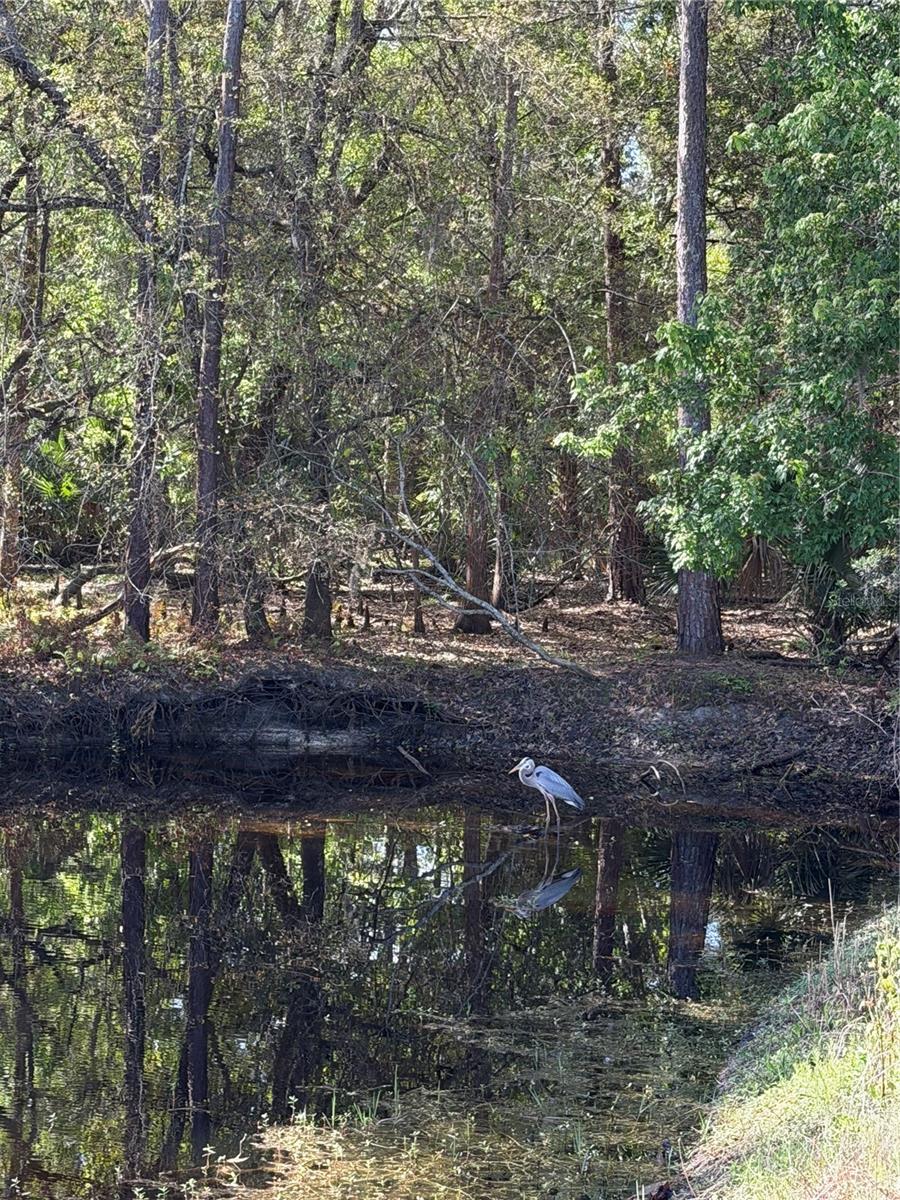 Image 78 of 100 For 14535 Caplock Drive