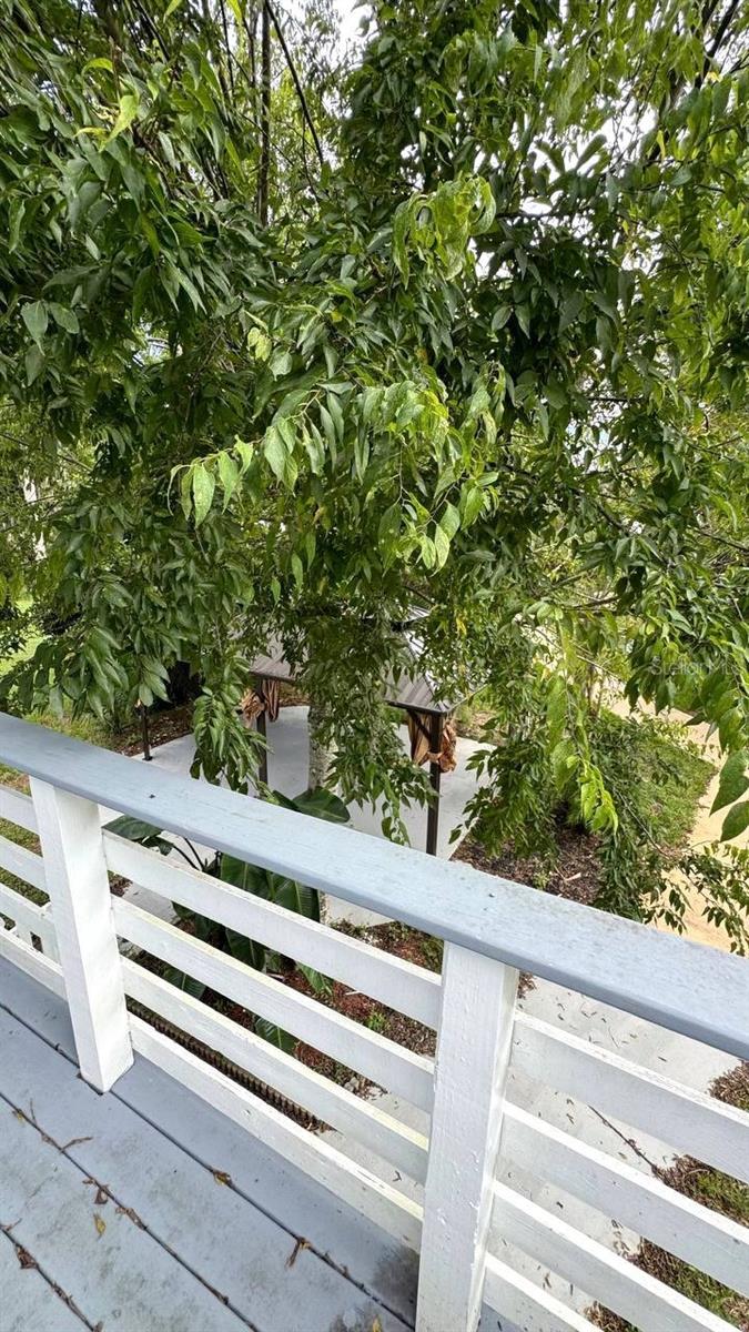 Image 45 of 68 For 385 Wild Orange Drive