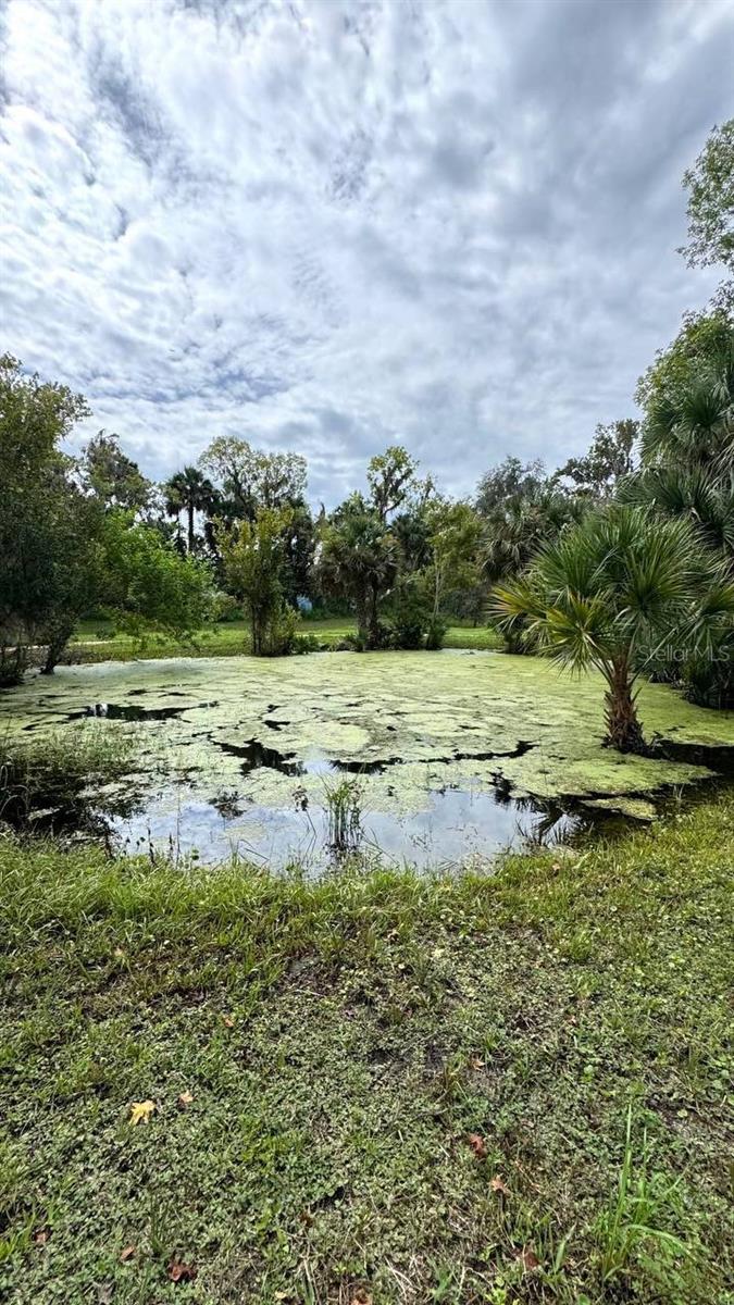 Image 46 of 68 For 385 Wild Orange Drive