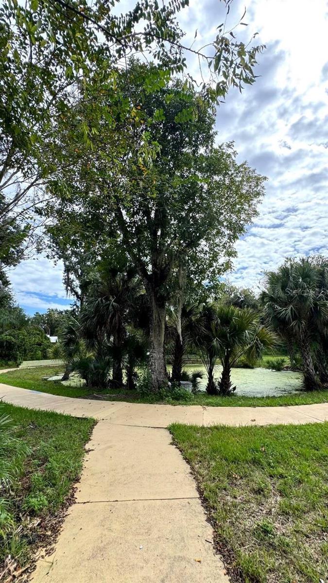 Image 48 of 68 For 385 Wild Orange Drive