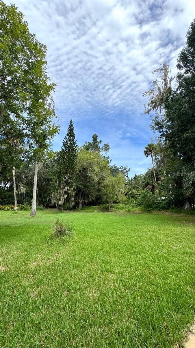 Image 49 of 68 For 385 Wild Orange Drive