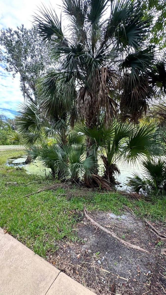 Image 50 of 68 For 385 Wild Orange Drive