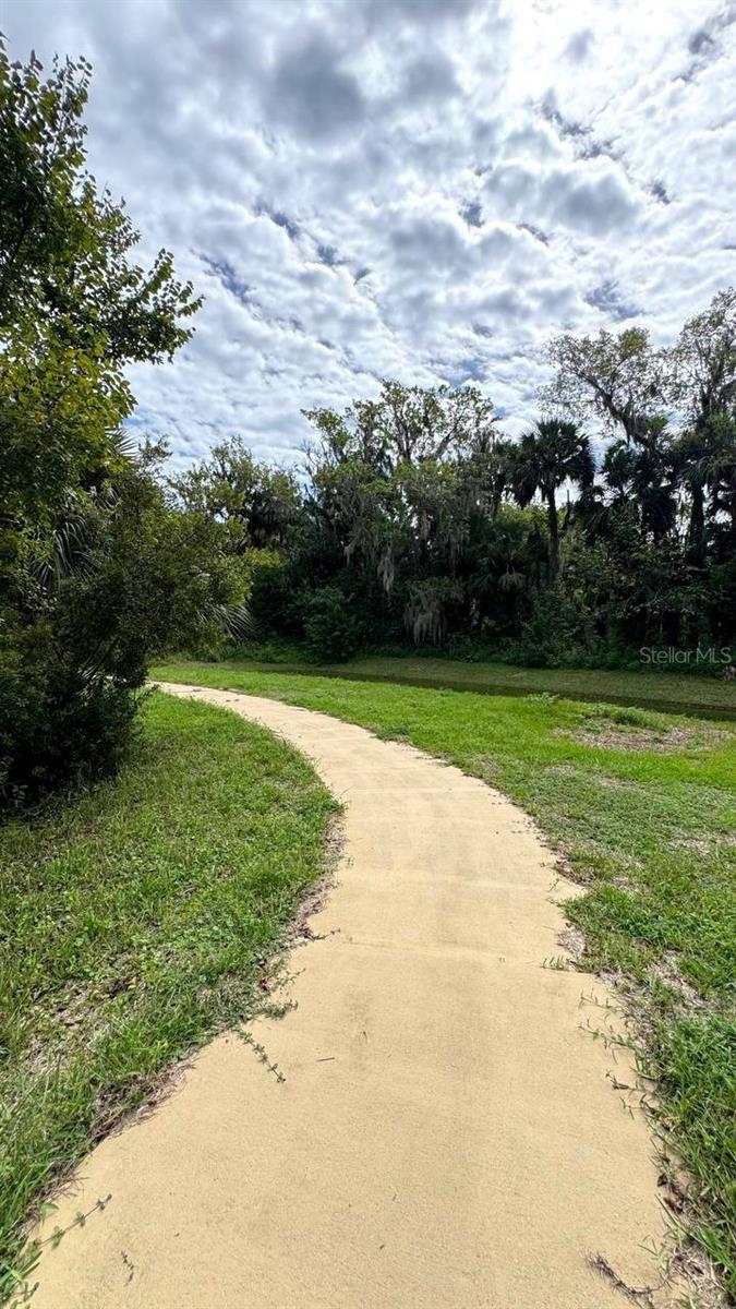 Image 52 of 68 For 385 Wild Orange Drive