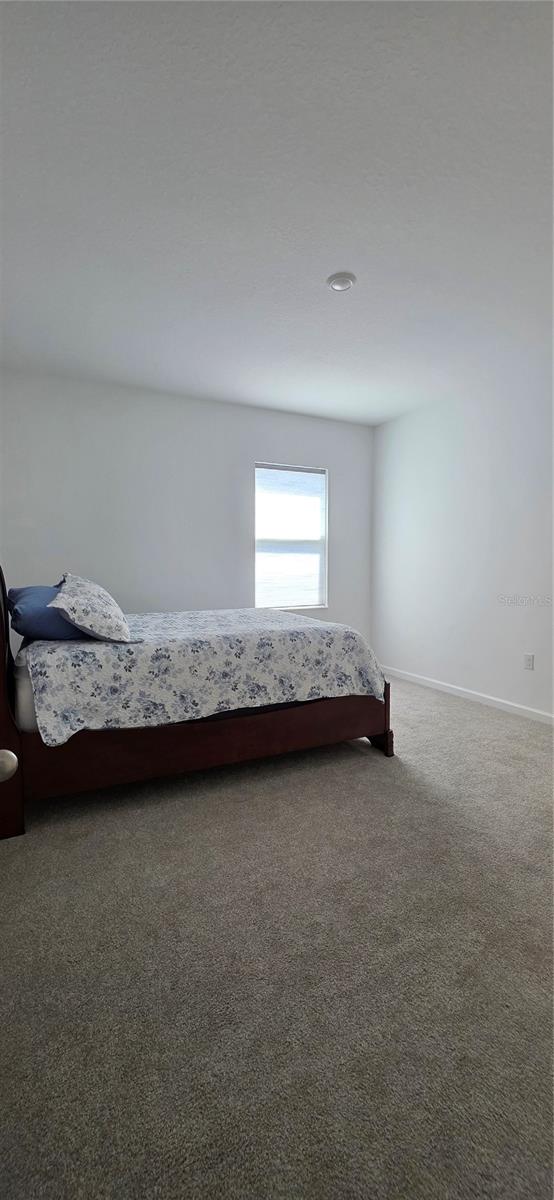 Image 18 of 27 For 299 Bottle Brush Drive