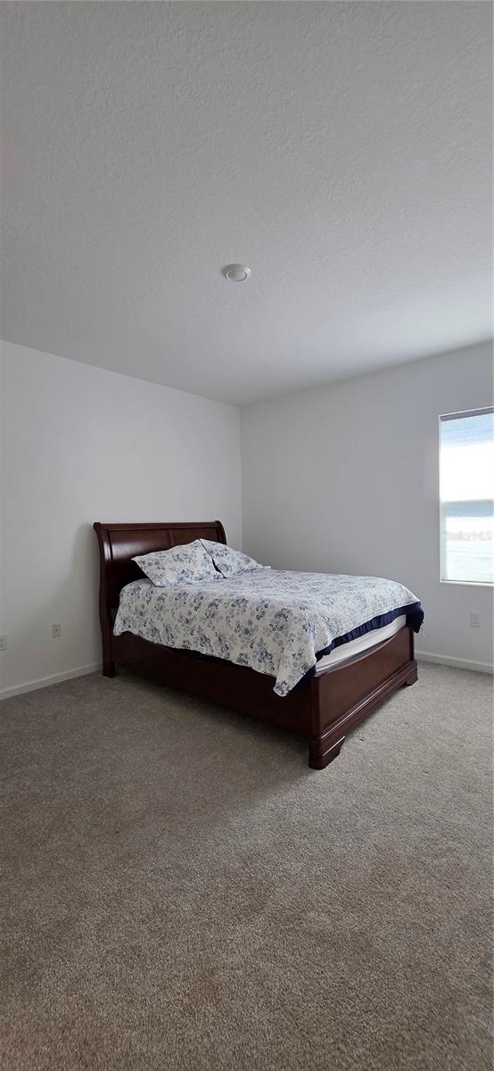 Image 19 of 27 For 299 Bottle Brush Drive