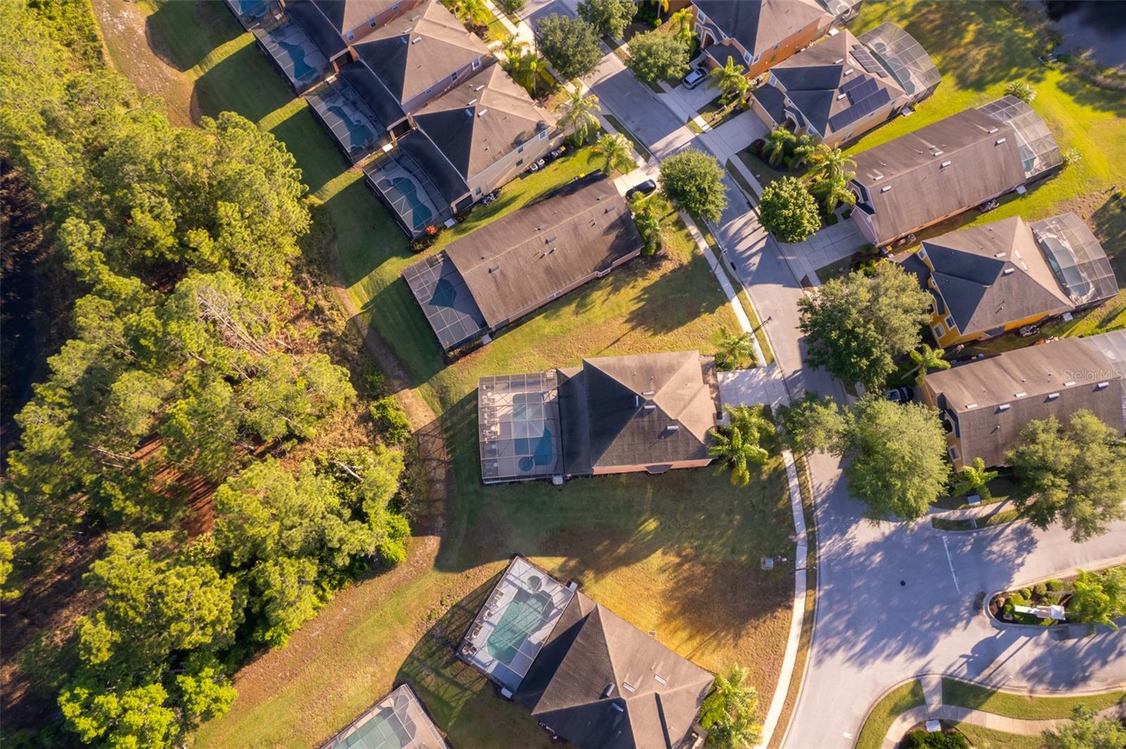 Image 46 of 47 For 906 Orange Cosmos Boulevard