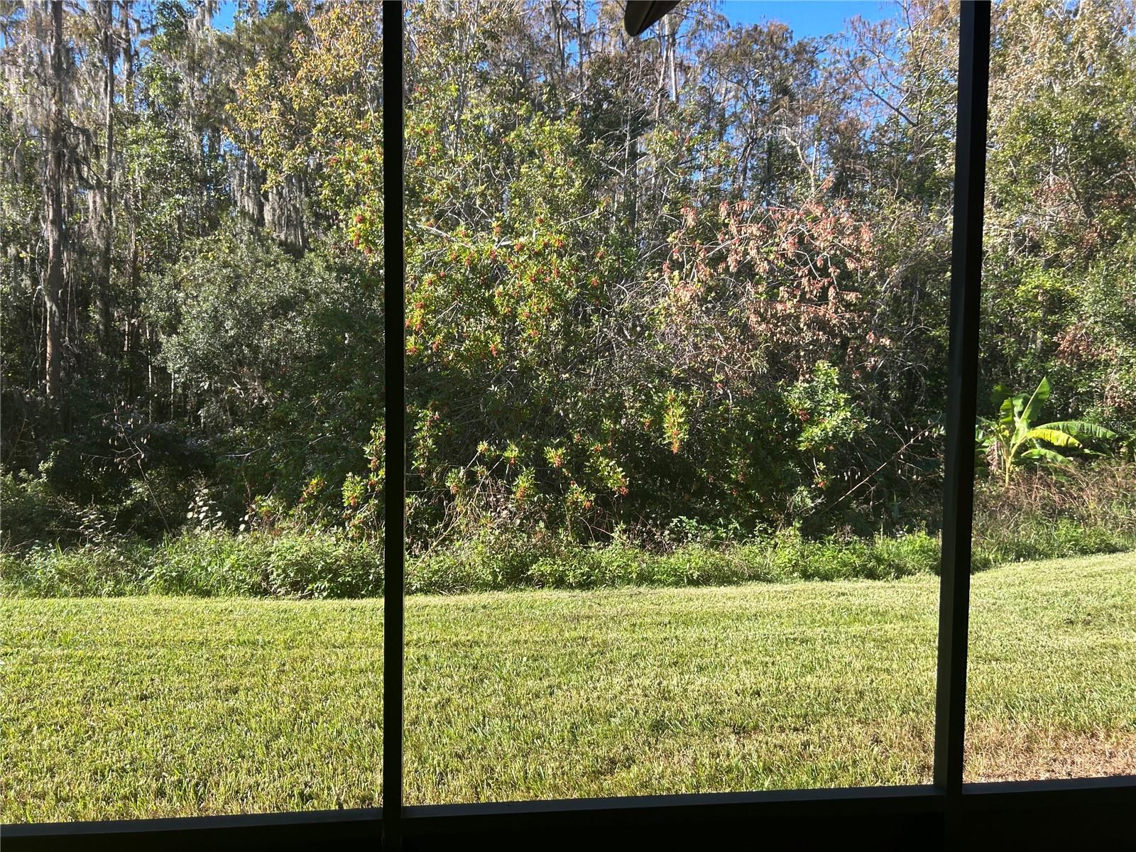 Image 16 of 16 For Address Not Provided