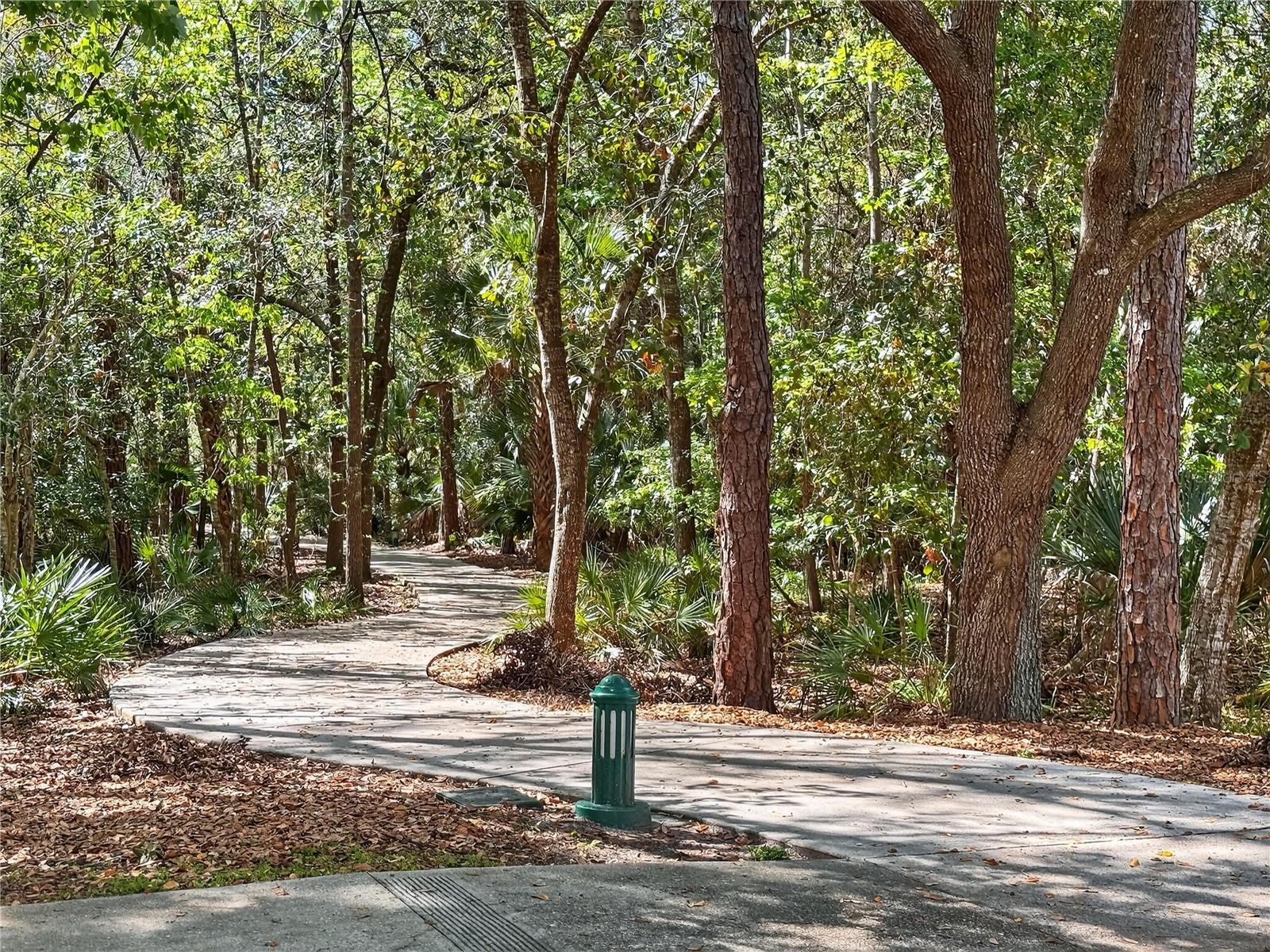 Image 55 of 59 For 916 Towhee Court