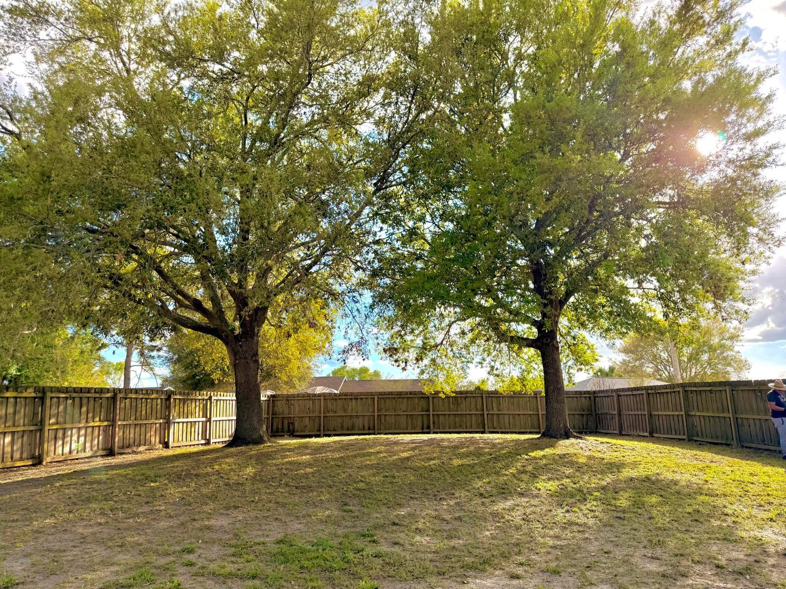 Image 2 of 9 For 15336 Margaux Drive