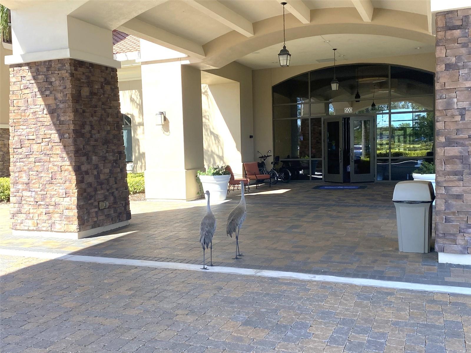 Image 62 of 82 For 715 Asturias Road