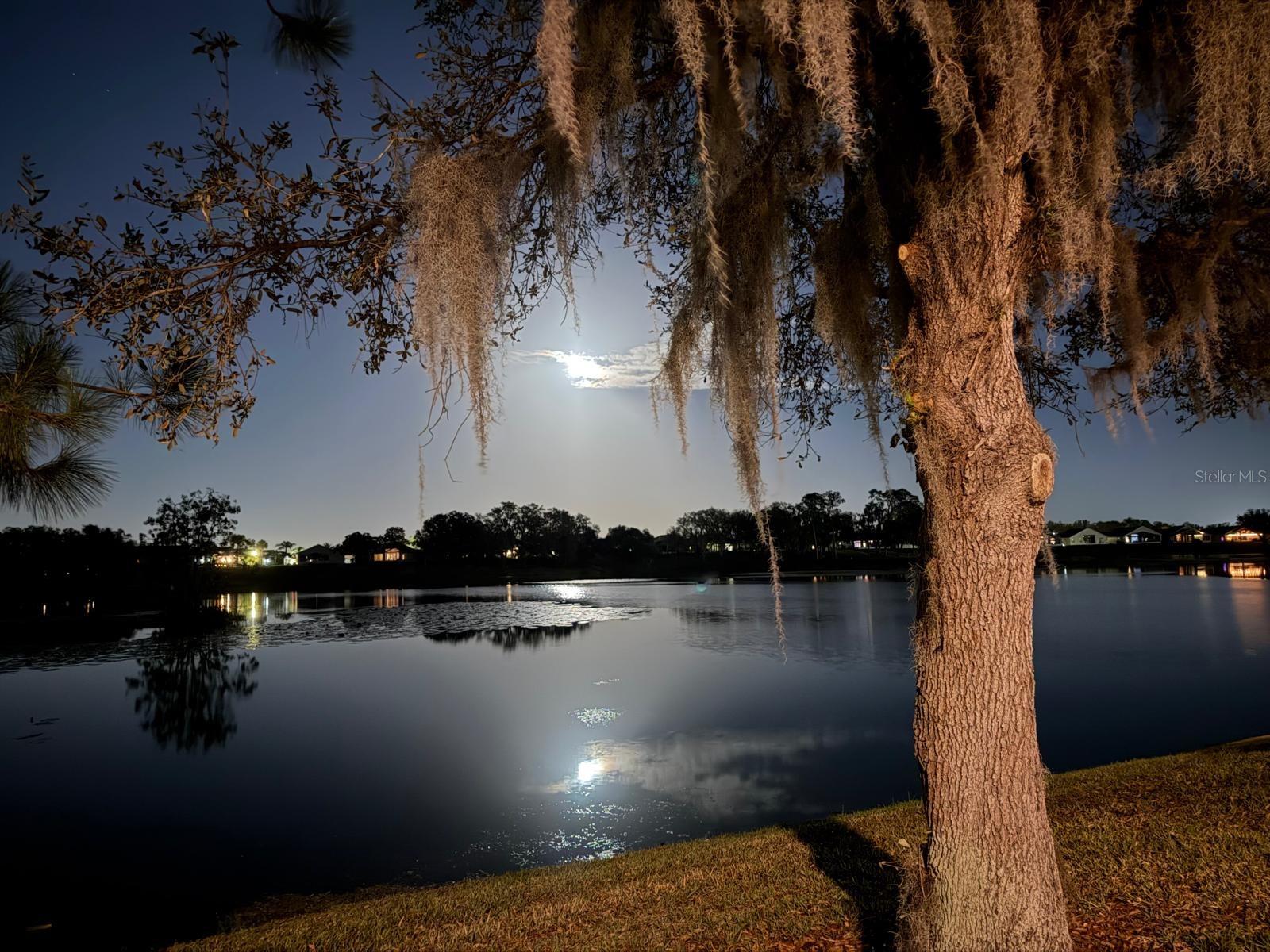 Image 82 of 82 For 715 Asturias Road