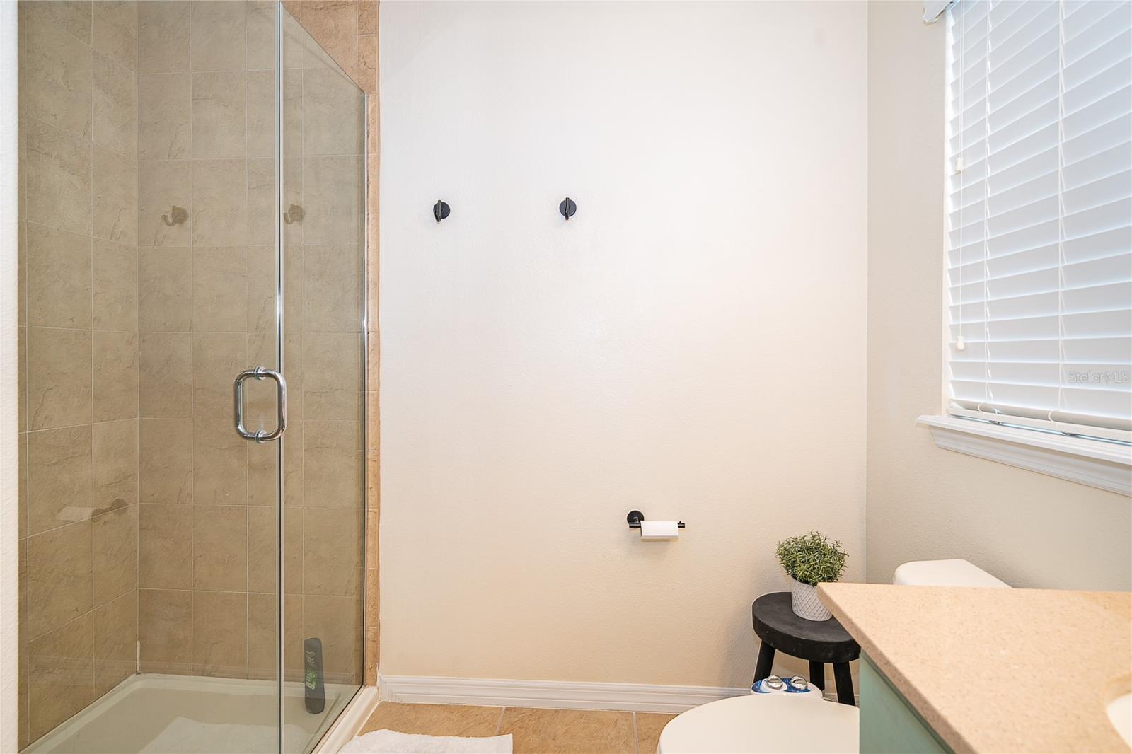 Image 17 of 29 For 4810 Matteo Trail