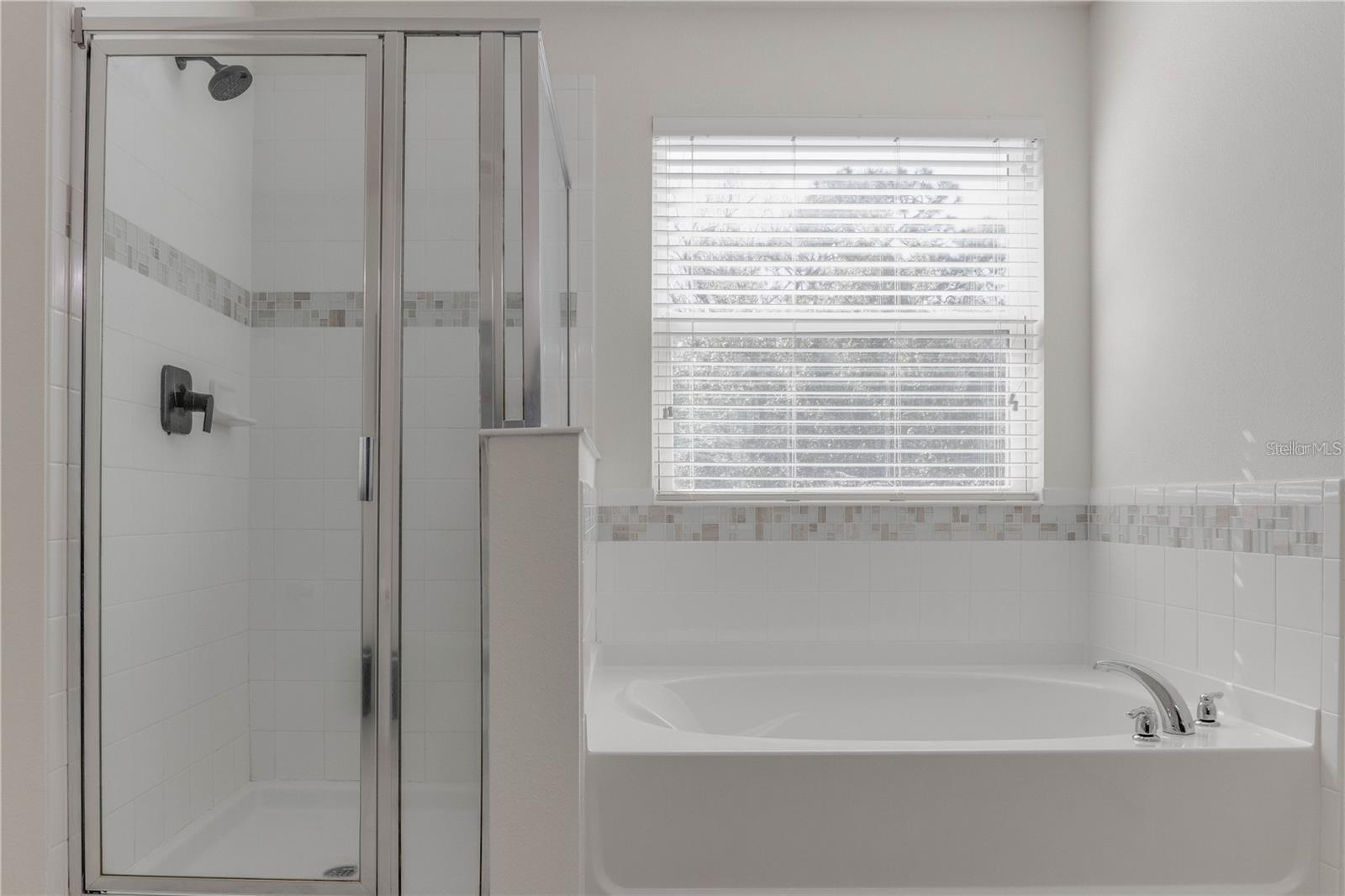 Image 8 of 15 For 4718 Blue Diamond Street