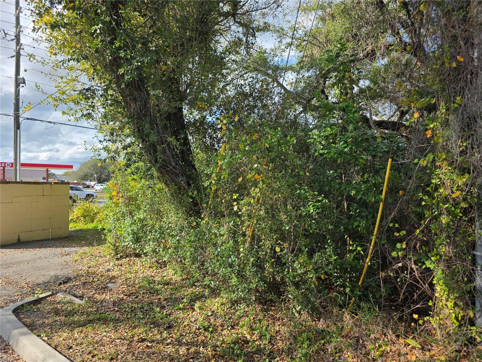 Image 11 of 12 For 0 Michigan Avenue